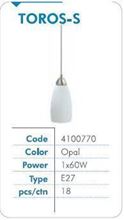 Picture of ЛУСТЕР ТОРОС-С ОПАЛ БЕЛО 1Х60W/Е-27 4100770  РАИНА